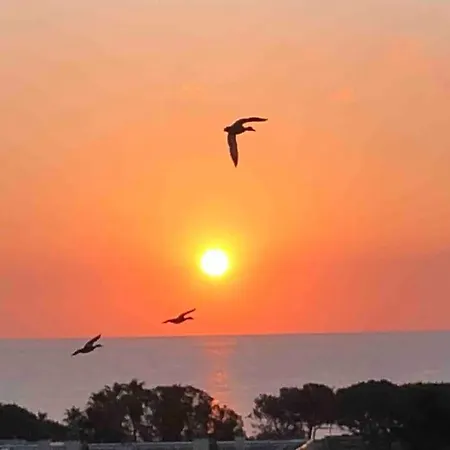 Vue Mer Au Lavandou * Le Lavandou